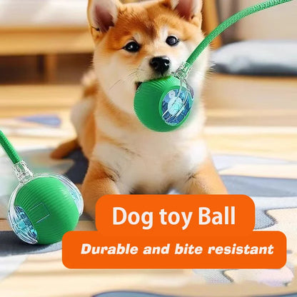 Interactive Smart Dog Ball Toy