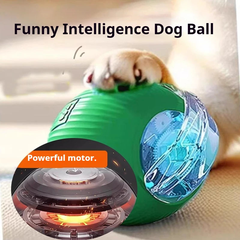 Interactive Smart Dog Ball Toy
