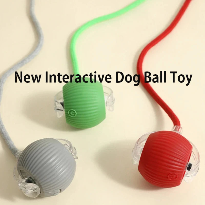 Interactive Smart Dog Ball Toy
