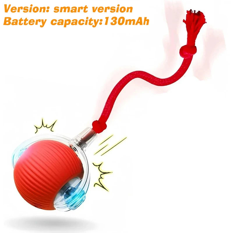 Interactive Smart Dog Ball Toy