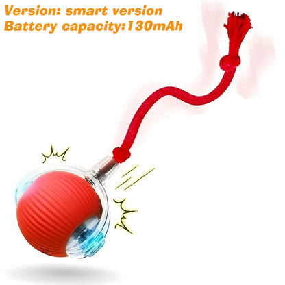 Interactive Smart Dog Ball Toy