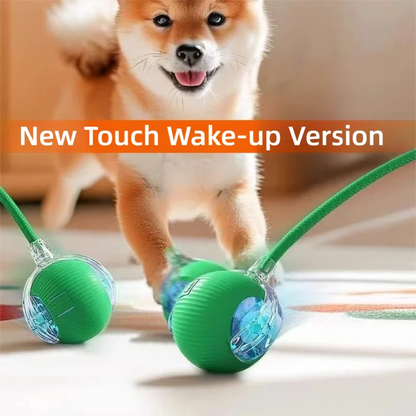 Interactive Smart Dog Ball Toy