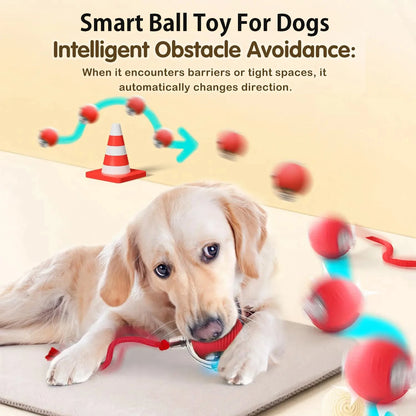 Interactive Smart Dog Ball Toy