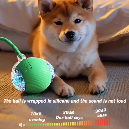 Interactive Smart Dog Ball Toy